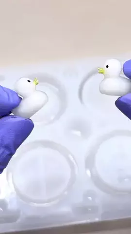 にゃんだ子🐥アヒルの人のTikTok投稿