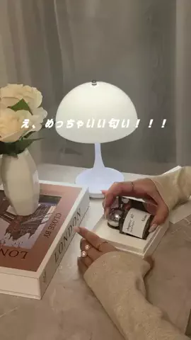 にな￤1K9畳のTikTok投稿