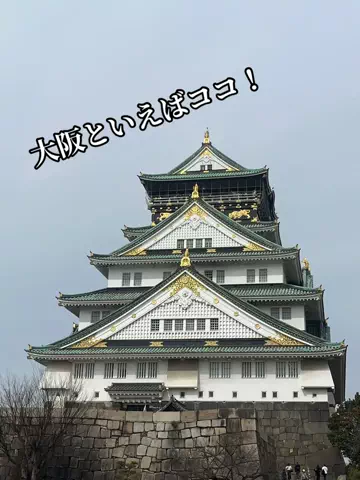 ミカマイ📺元ADゆるっと取材🌈のTikTok投稿