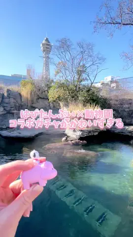 さき^._.^♡のTikTok投稿