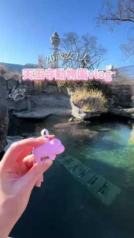 さき^._.^♡のTikTok投稿