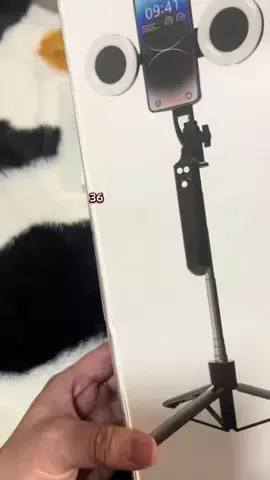 🐼ネAsami申🐈‍⬛🏴‍☠️のTikTok投稿