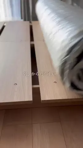 ここのTikTok投稿