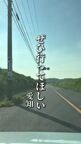 のん | 愛知グルメ・おでかけのTikTok投稿