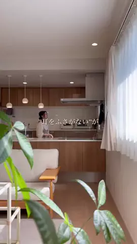 ここのTikTok投稿