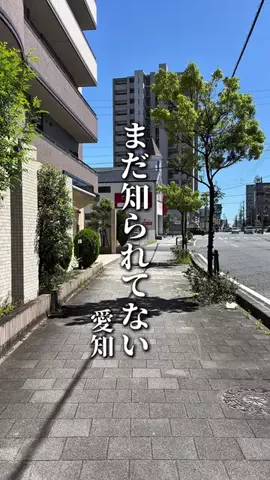 のん | 愛知グルメ・おでかけのTikTok投稿
