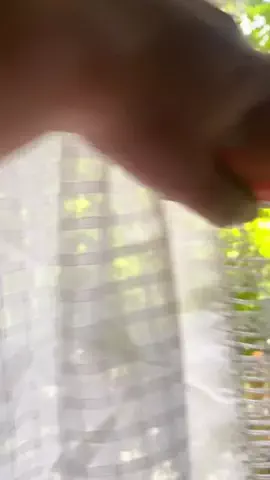🐈みみちゃんねる🐈のTikTok PR投稿：#VAVAV#メガビタミン#分子栄養学 #オーソモレキュラー#pr