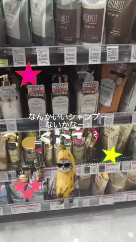 kokoro💕のTikTok投稿