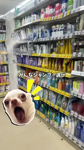 kokoro💕のTikTok投稿