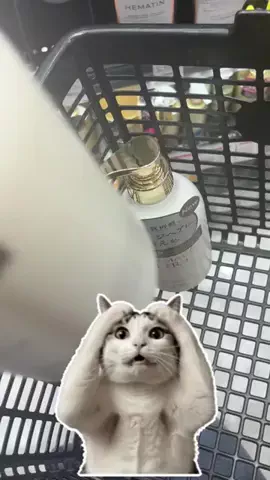 kokoro💕のTikTok投稿