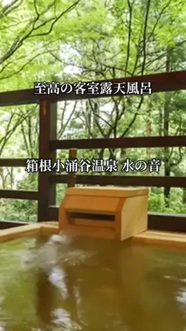 旅ログ〜映え×コスパ旅行のTikTok投稿
