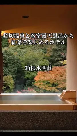 旅ログ〜映え×コスパ旅行のTikTok投稿