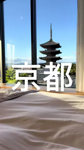 ファルコントラベルのTikTok投稿