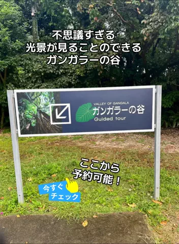 ひろねぇのTikTok投稿