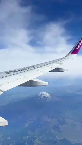 ももかチャンネルのTikTok投稿