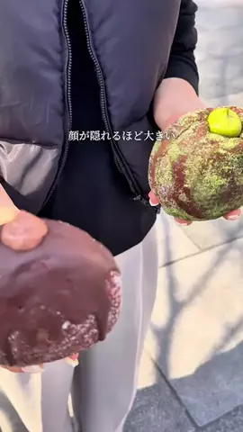 あかねちゃんねる⋆東京おしゃれグルメ⋆のTikTok投稿