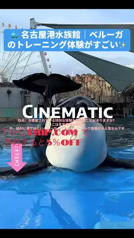 TikTok Shop日本ツアーのTikTok投稿