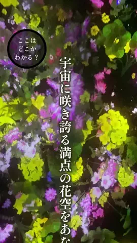 tsmeg/塗り絵アーティストのTikTok投稿