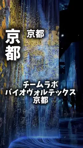 関西ごはんのTikTok PR投稿：限界OLのおでかけ紹介！京都で神社仏閣めぐりだけじゃな…