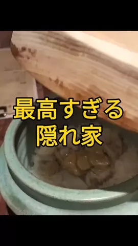 りょーすたぐらむ(FIREした男の究極コスパグルメ)のTikTok投稿