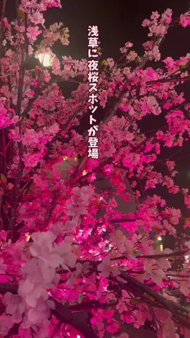 TrendTimes｜トレンドタイムズのTikTok投稿