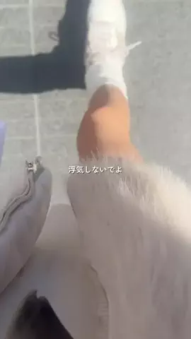 さなのTikTok投稿
