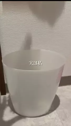 さなのTikTok投稿