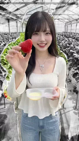 まみのTikTok投稿