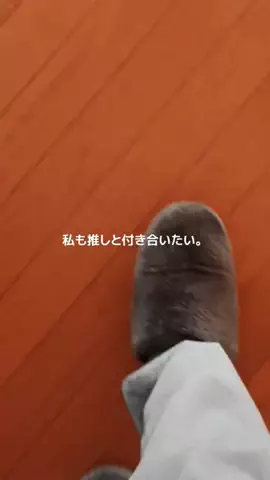 さなのTikTok投稿