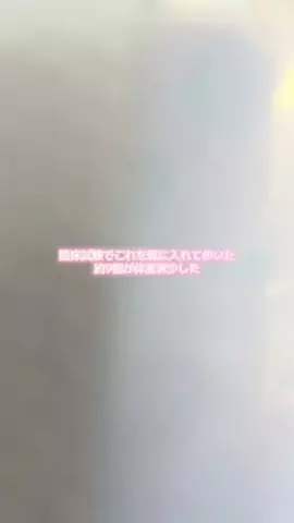 すのTikTok投稿