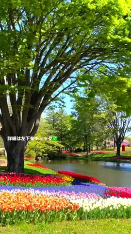 Japan Tourism | 泊まりたくなるホテルのTikTok投稿
