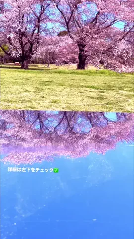 Japan Tourism | 泊まりたくなるホテルのTikTok投稿