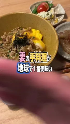 セントくんとおねね夫婦のTikTok投稿