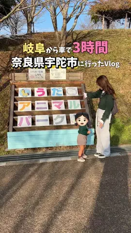セントくんとおねね夫婦のTikTok投稿