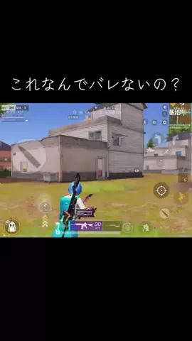 秘密の甘ちゃんのTikTok投稿