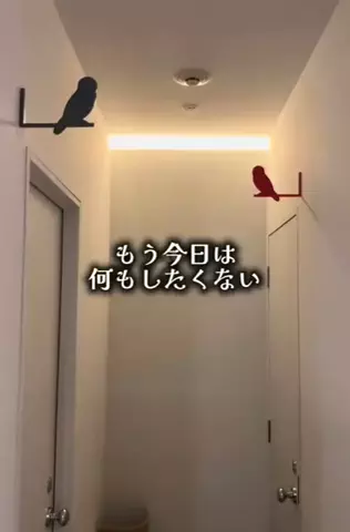 ゆっっっっき。｜疲れた大人、ここ行このTikTok投稿