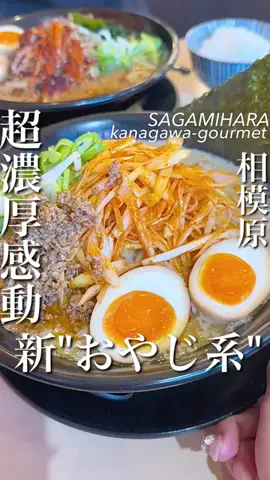 横浜グルメ/神奈川グルメ【公式】のTikTok投稿