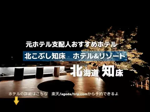 ホテル支配人の極上バイブルのTikTok投稿