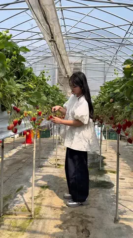 ちた ┋韓国美容エディターのTikTok投稿