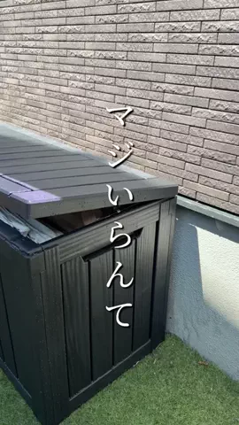 𝐚𝐧 𝐡𝐨𝐦𝐞 | 低予算で叶えた ホテルライクのTikTok投稿