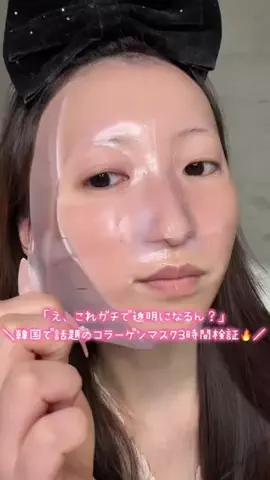 ぽまちゃんのTikTok投稿