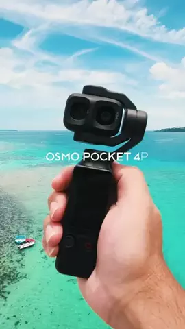 Okinawa Walker | 沖縄の魅力を世界へのTikTok投稿