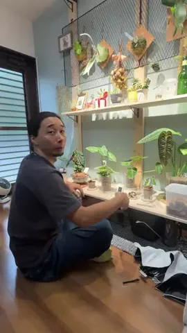 旦那が巨匠すぎるのTikTok投稿