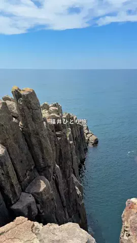 mii_solotravelのTikTok投稿
