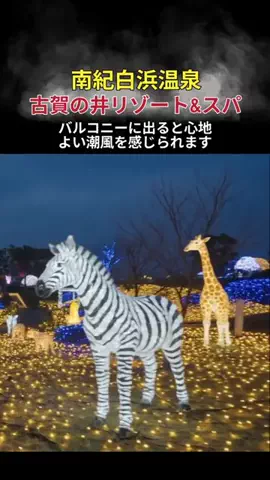 シーモア園芸のTikTok投稿