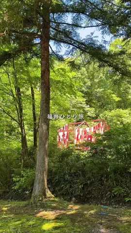 mii_solotravelのTikTok投稿