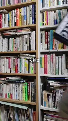 たろーです🧸のTikTok投稿