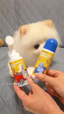 GODZILLAのTikTok投稿