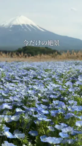 みさ |  ゆったり大人の休日旅のTikTok投稿