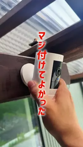 K15のTikTok投稿